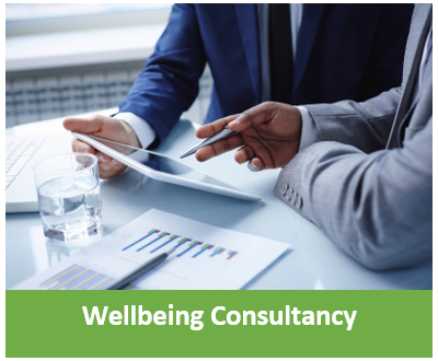 Wellbeing Consultancy